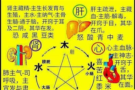 属火的名字|属火最吉利的五十个字 五行属火性的什么字最好大全